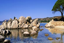 开云官网赛地聚焦——CBA季后赛国际比赛日热度飙升，辽宁本钢更衣室发声，管理层满意，细节决定成败的简单介绍